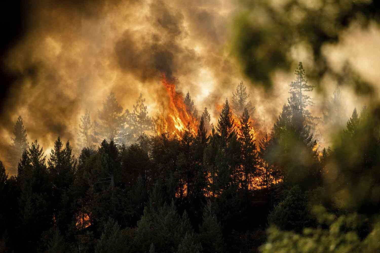 Firefighters could have to move up to 1,500 acres of land at a time